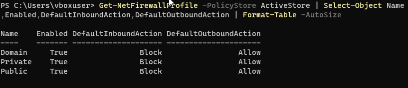 Windows Firewall profiles verification